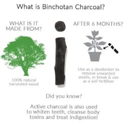 Black + Blum Binchotan Active Charcoal For Eau Good Water Bottles 4-pack -Babyproducten 1200x1200 1024