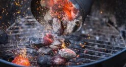 THM Houtskoolbriketten - Voordeelpak - 18kg -Babyproducten 1200x642 2