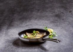 BK Allround Koekenpan Ø 24 Cm - Inductie - PFAS-vrij -Babyproducten 1200x851 1