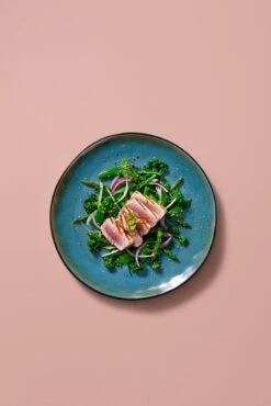 Palmer Serviesset Lotus Stoneware 6-persoons 24-delig Zwart Turquoise -Babyproducten 801x1200 4